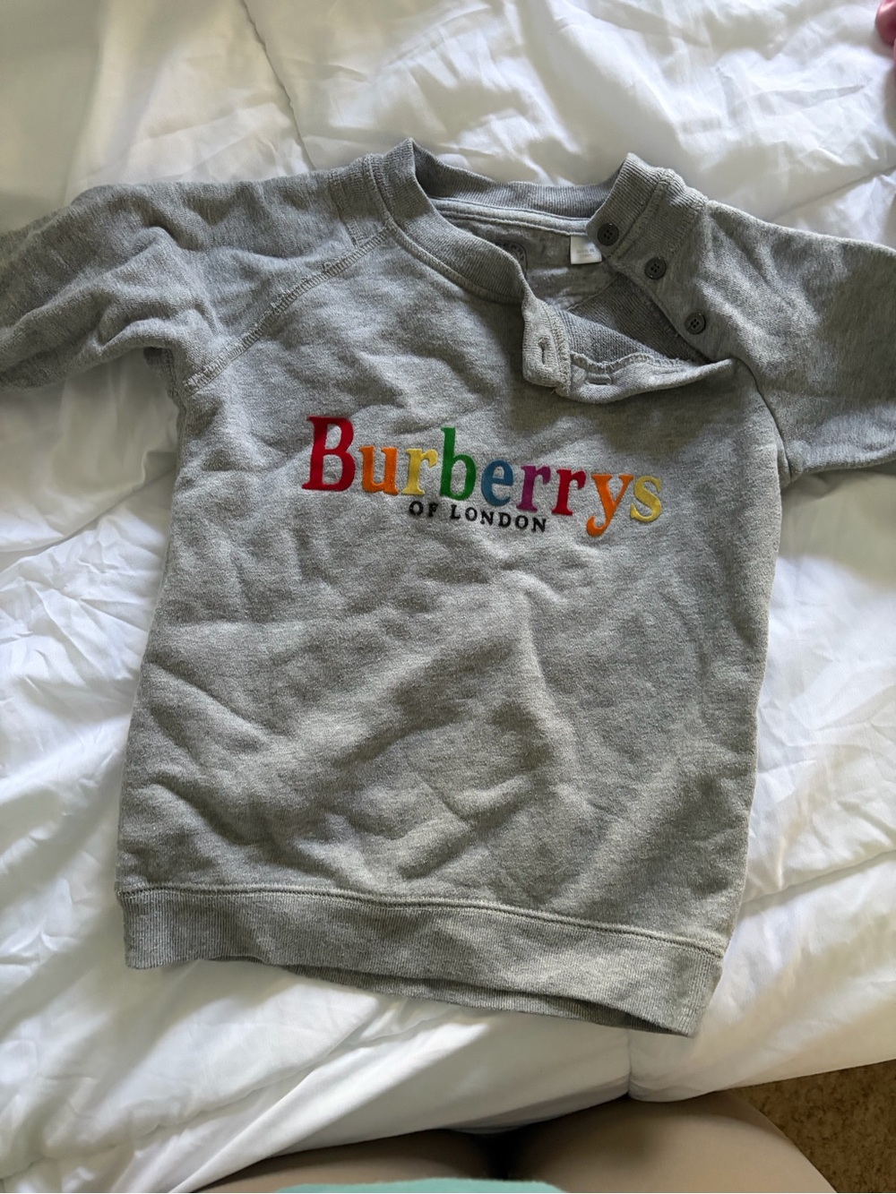 Burberry Kids Grey Sweatshirt with Multicolor Embroidered Logo